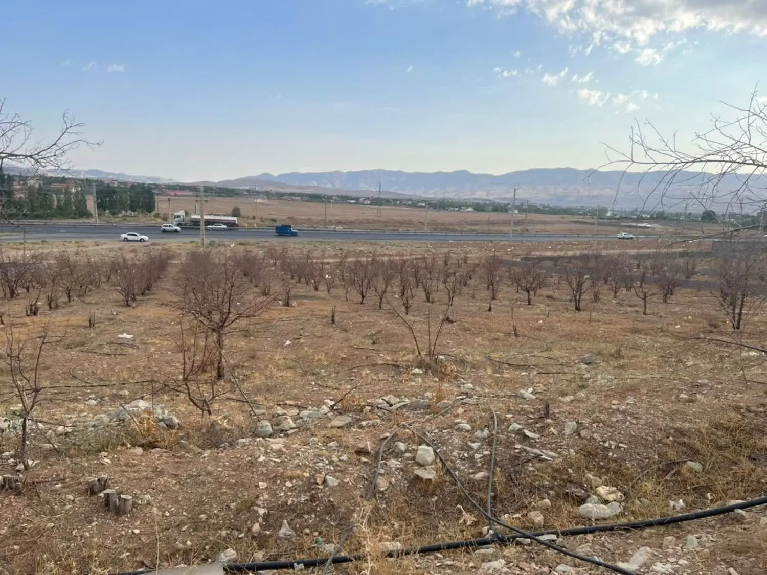 زمین آئینه ورزان
