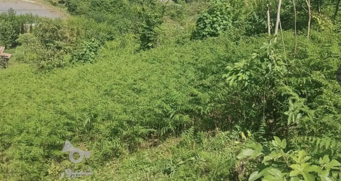 ۳۰۰متر زمین با کاربری مسکونی