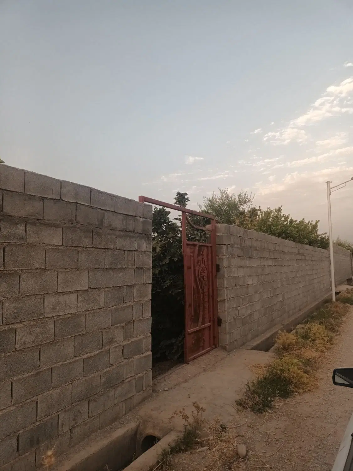 باغچه سر مسیر اصلی