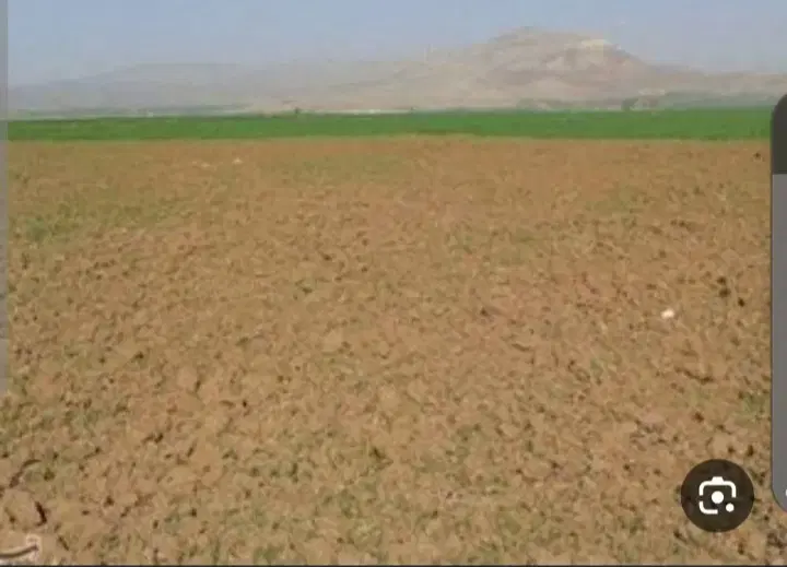 ۸هکتار زمین آبی اجاره داده می‌شود