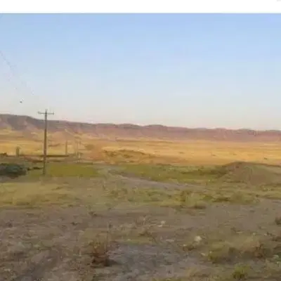 زمین