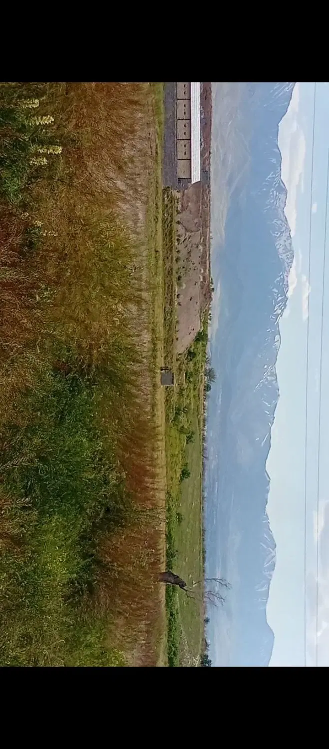 یک عدد باغ ب متراژ یک هزارمتری در اوریگان مرند