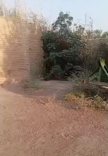 فروش ملک به متراژ ۱۲۰۰ متر در دهستان قبله ای دزفول