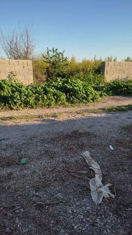 باغ در قلعه ربع