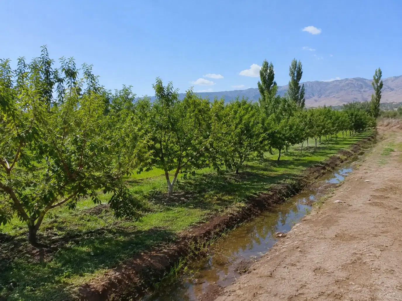 زمین گلدشت