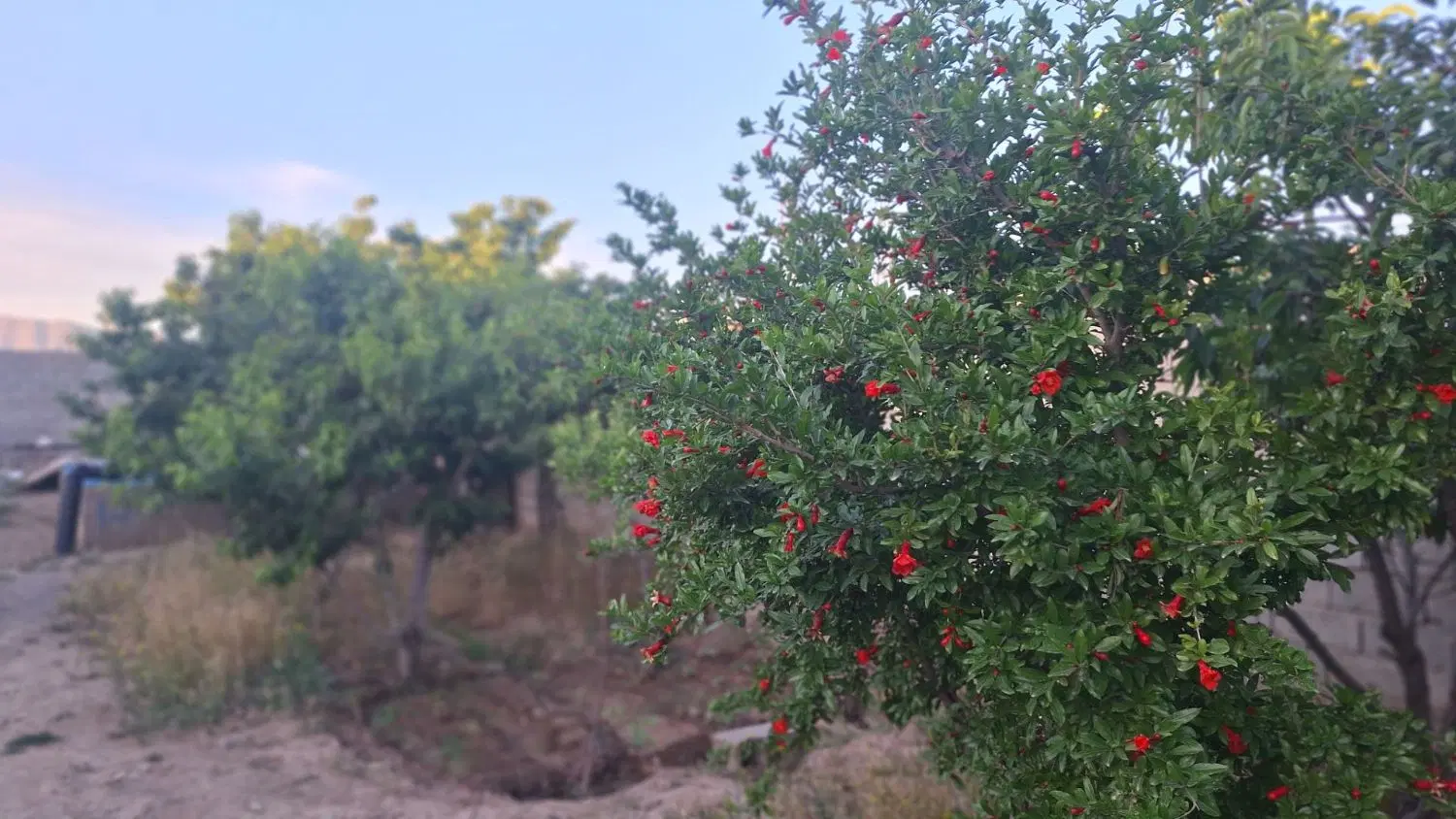 ۵۰۰ متری چهاردیواری شده