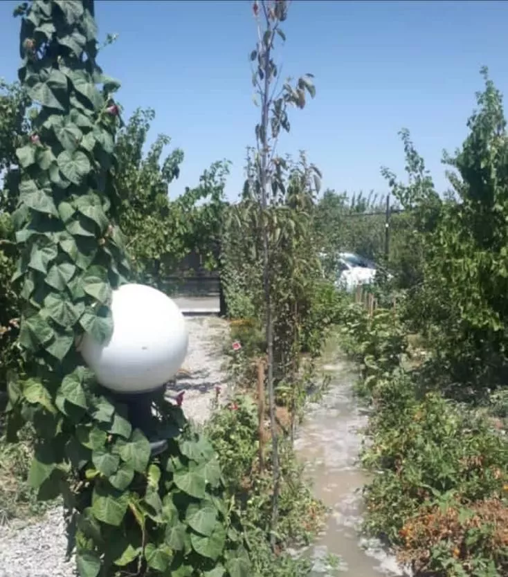 زمین باغ باغچه سنددار