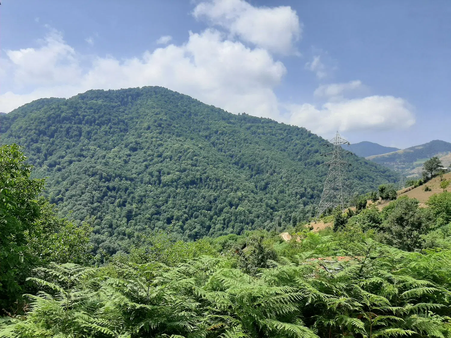 فروش زمین ییلاقی