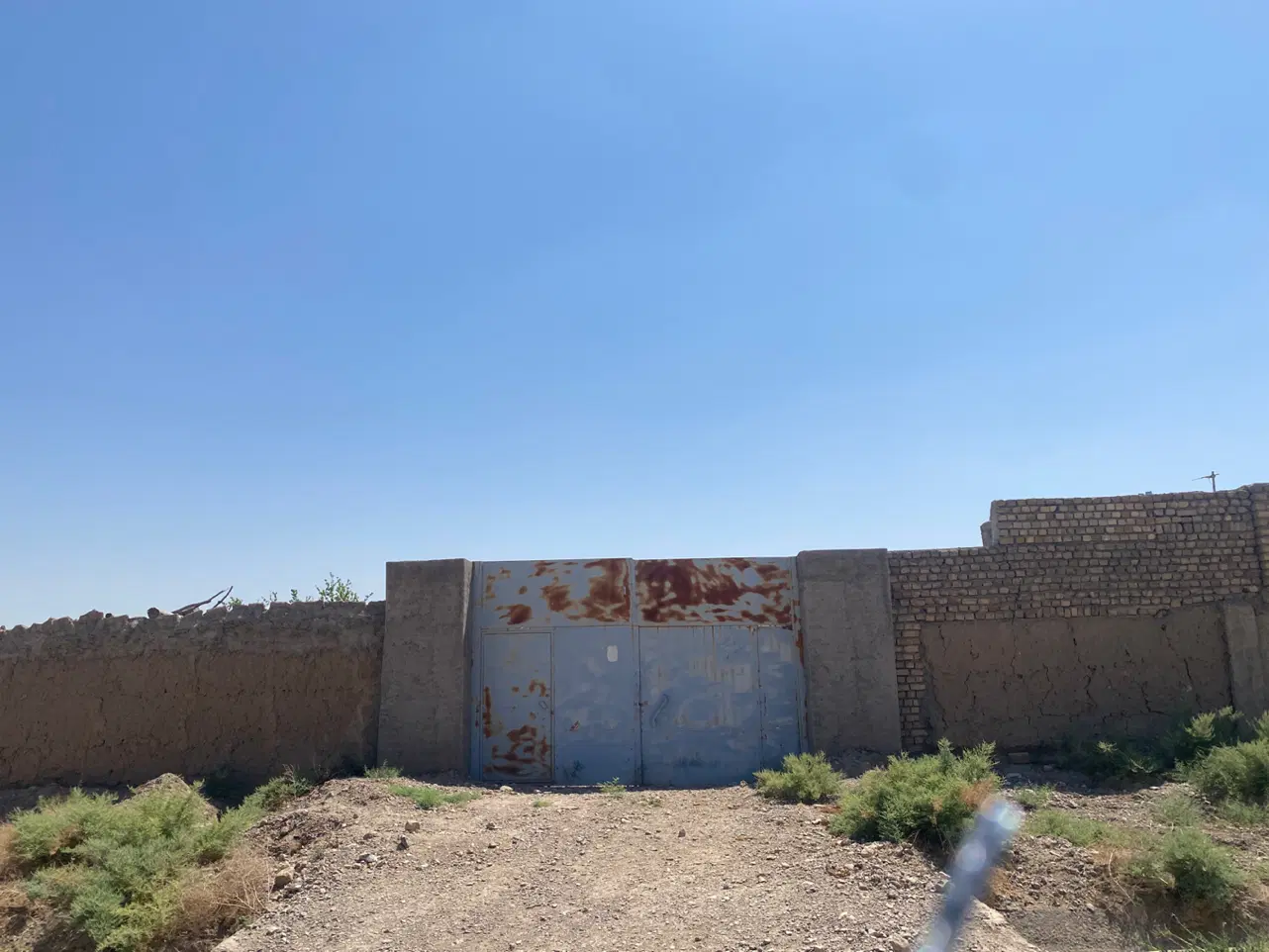 فروش باغ پسته یک هکتار