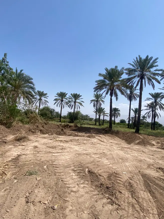ده قصب زمین پشت لر شفته شده