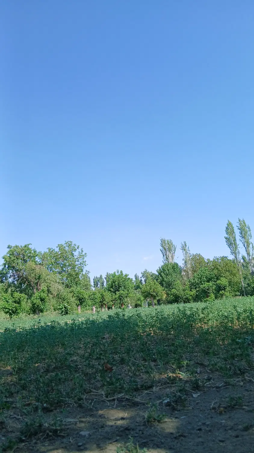 زمین مسکونی قلعه موتور