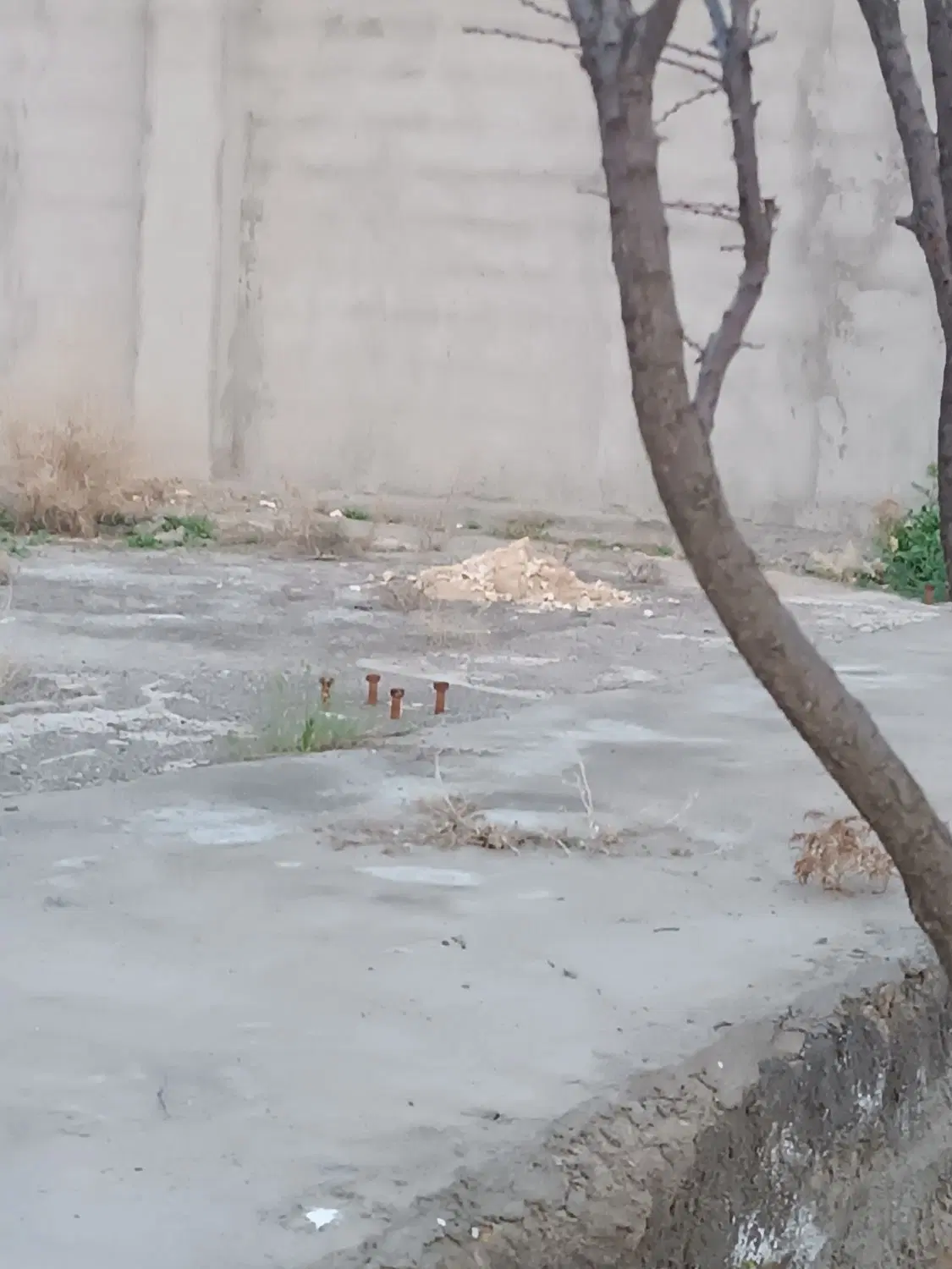 260متری در،روستای برزش آباد