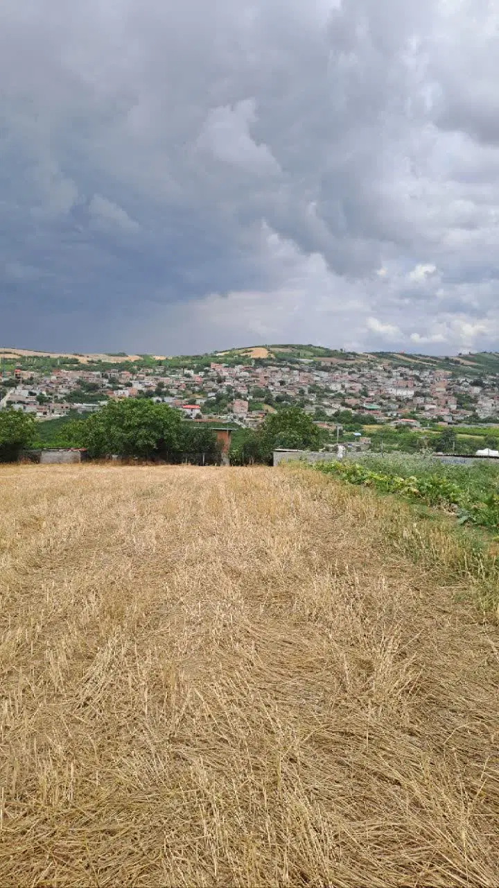زمین باغی ۵۵۰ متری با نهال‌های مثمر و نمای زیبا
