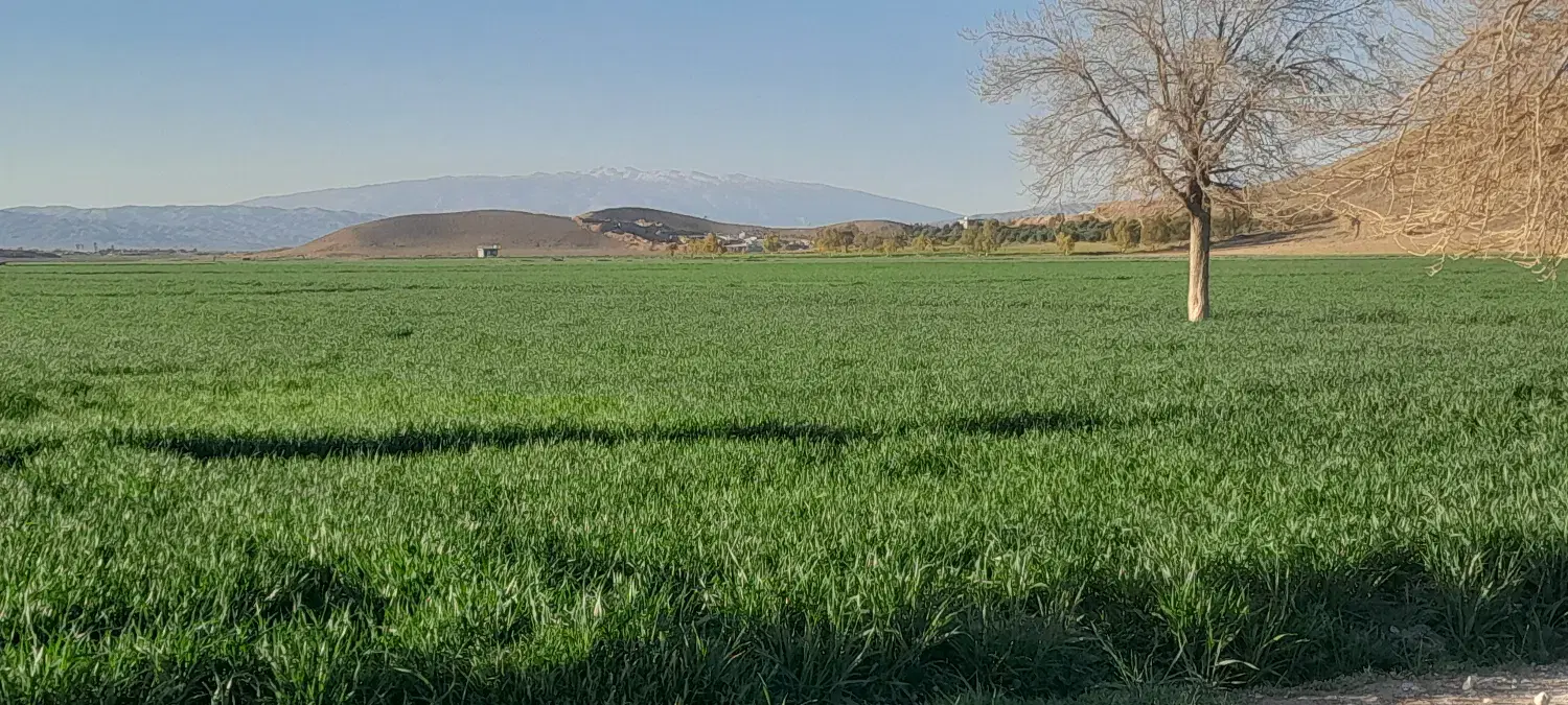 فروش زمین کشاورزی عکسها از همین ملک هست