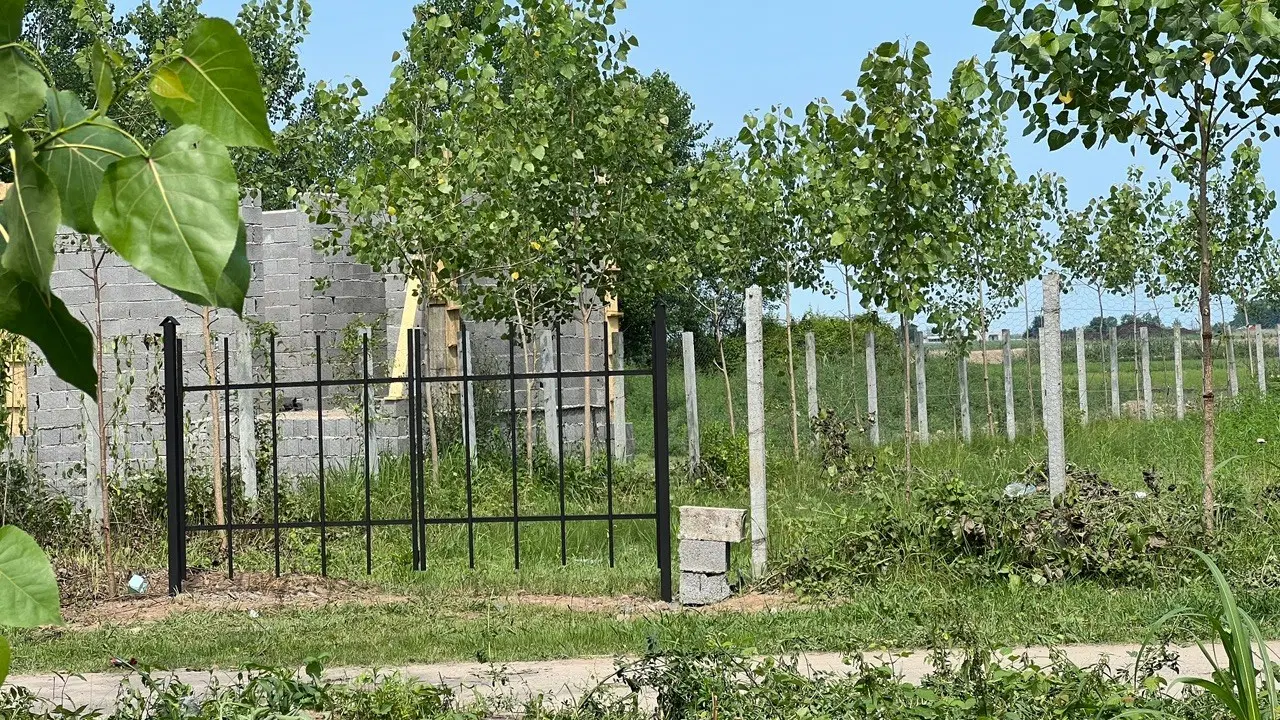 زمین باغی در بافت مسکونی