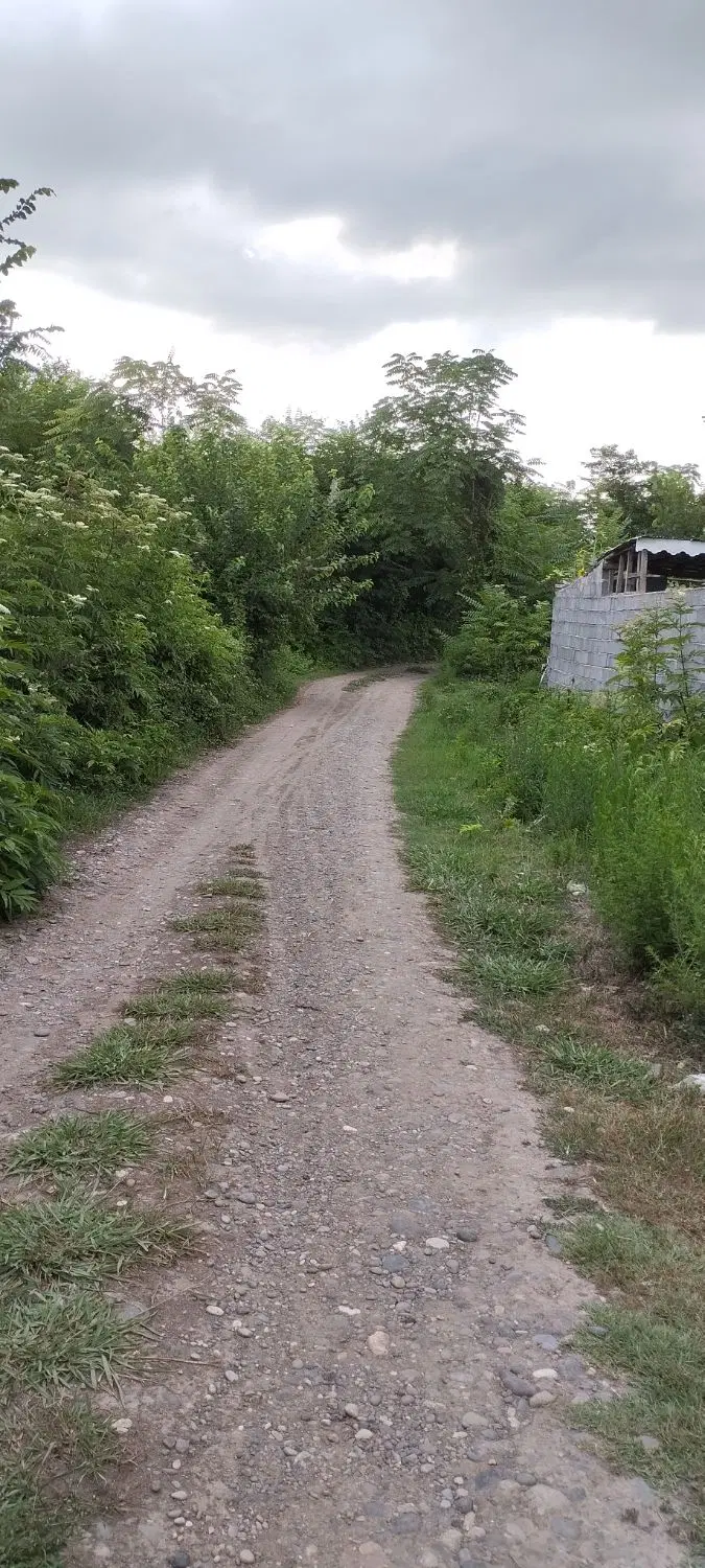 زمین مسکونی