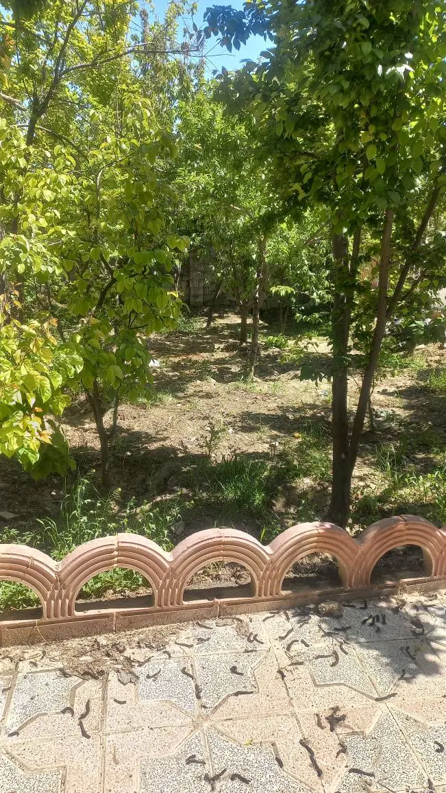 باغ و باغچه