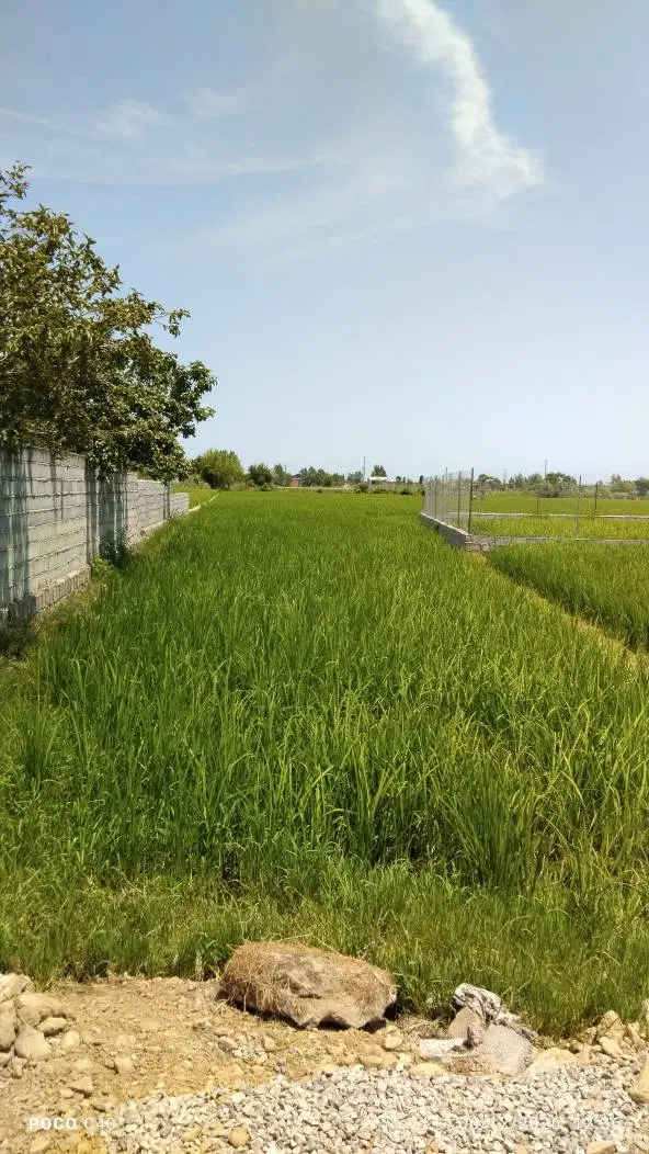 زمین ۲۰۰ متری