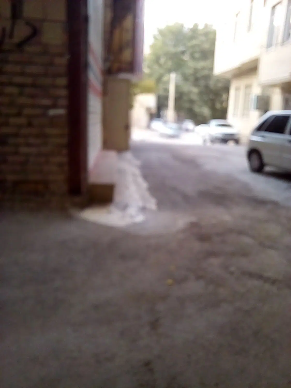 مغازه