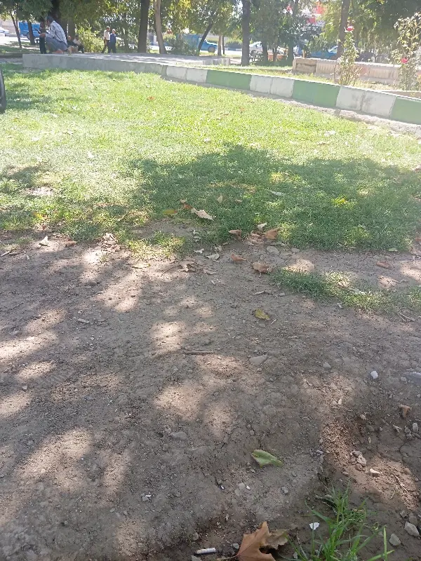 زمین پردیس رافا ریحان آباد