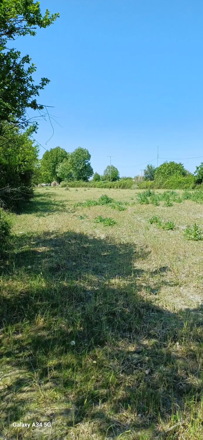 زمین کشاورزی