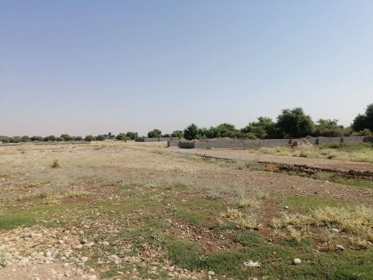 زمین باغی 500 متری بن جعفر