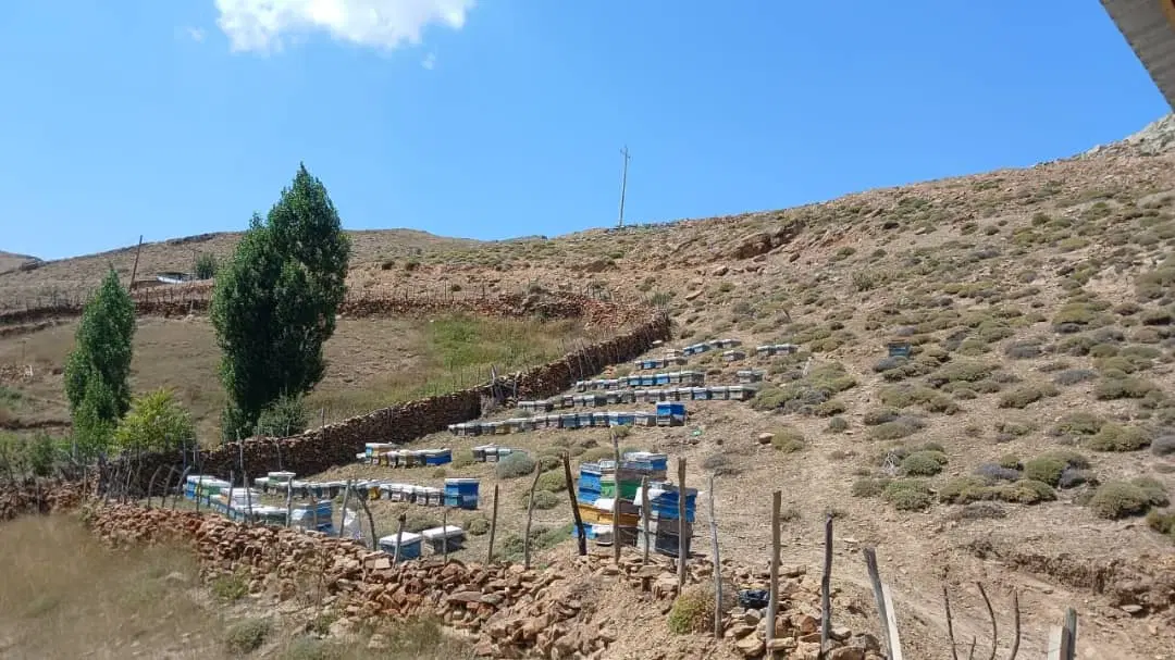 فروش تجاری مسکونی