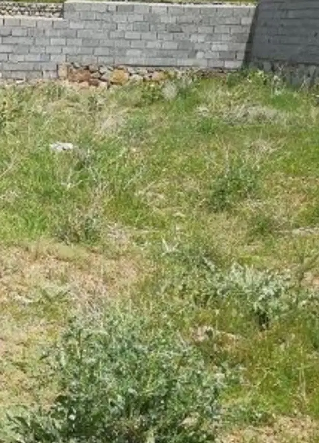 زمین مسکونی‌