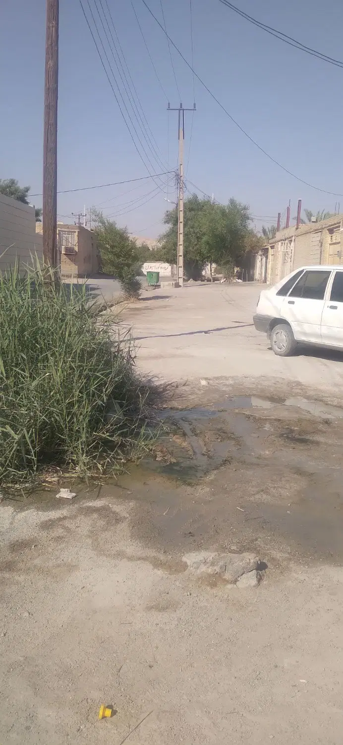 زمین