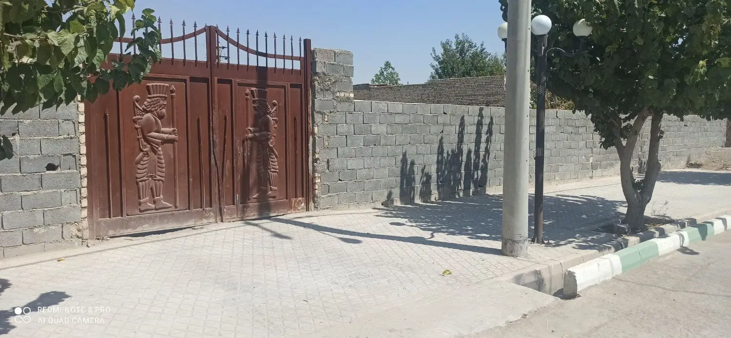 4دیواری سند تک برگ و طرح هادی
