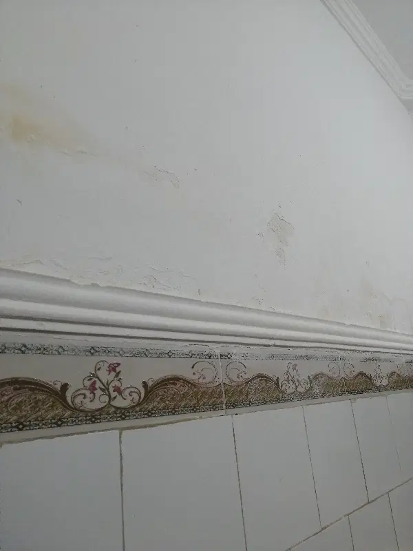 مغازه تجاری