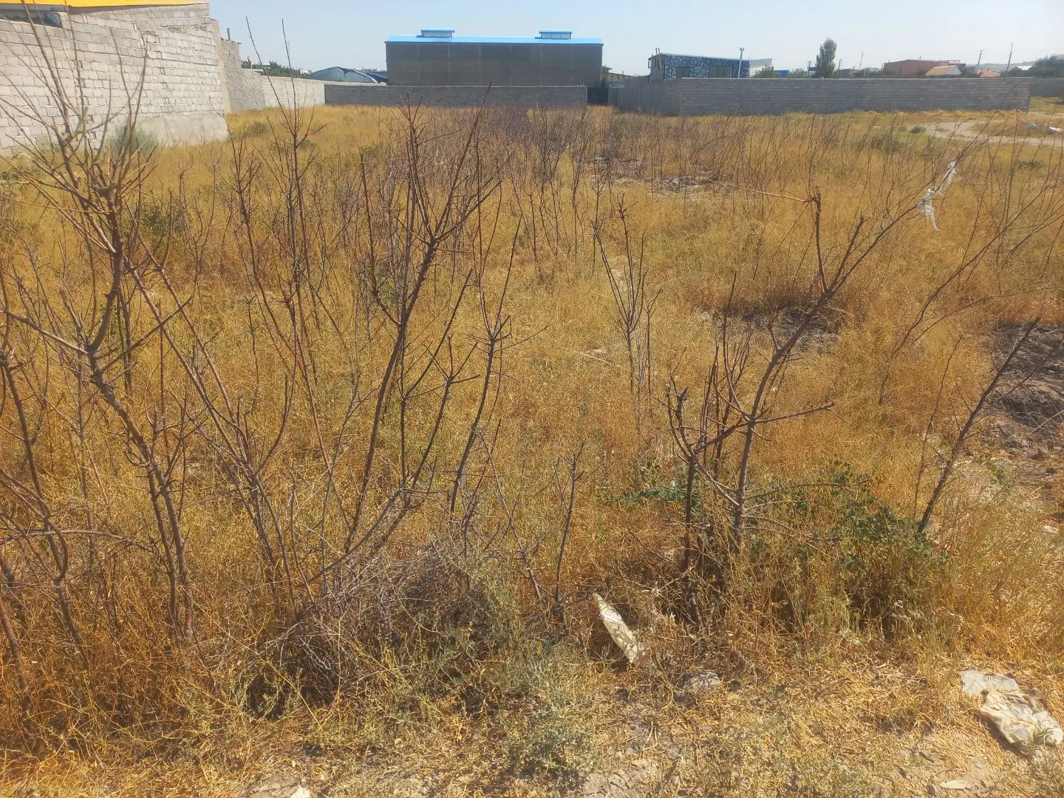 زمین مسکونی و ویلا