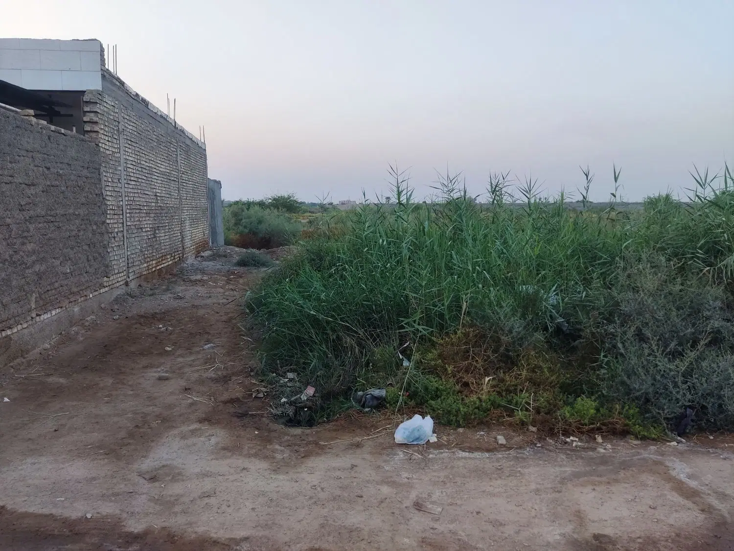 اهواز پردیس