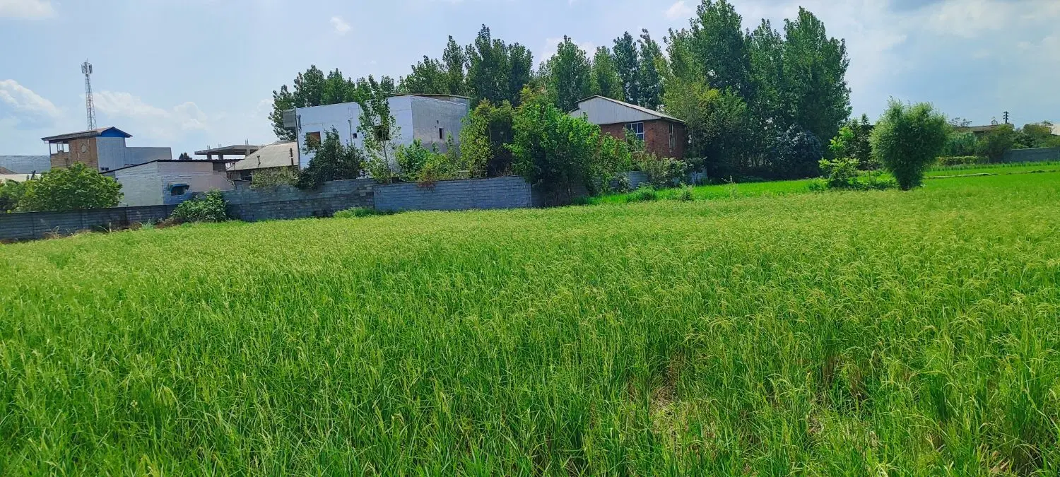 فرصت استثنایی زمین کشاورزی متصل به بافت با سند