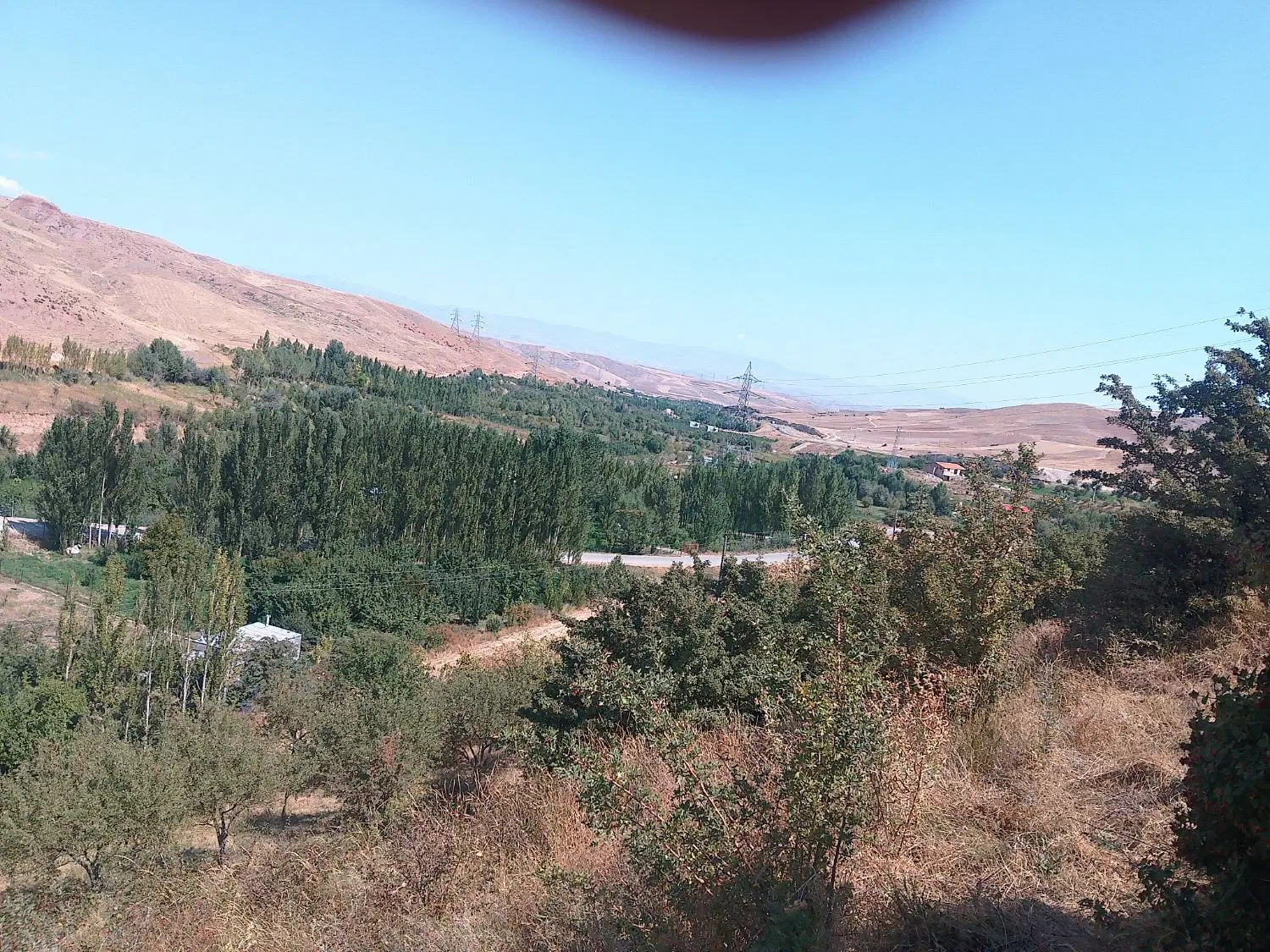ویلا باغ زمین