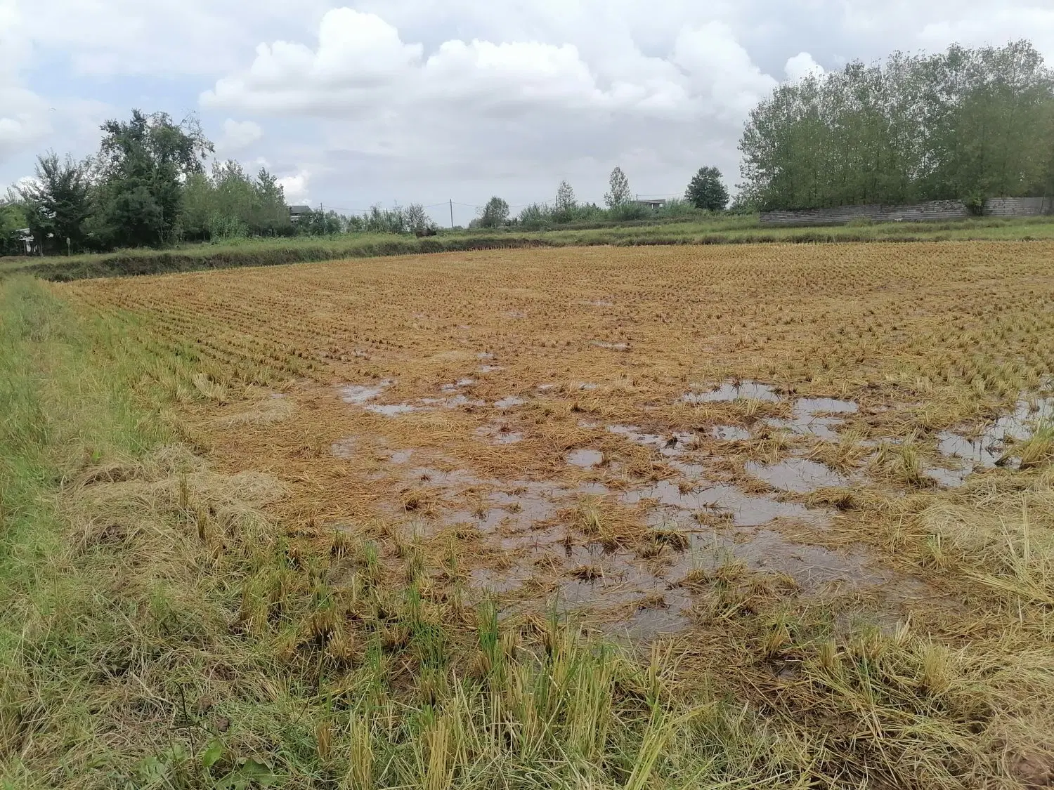زمین کشاورزی، زراعی