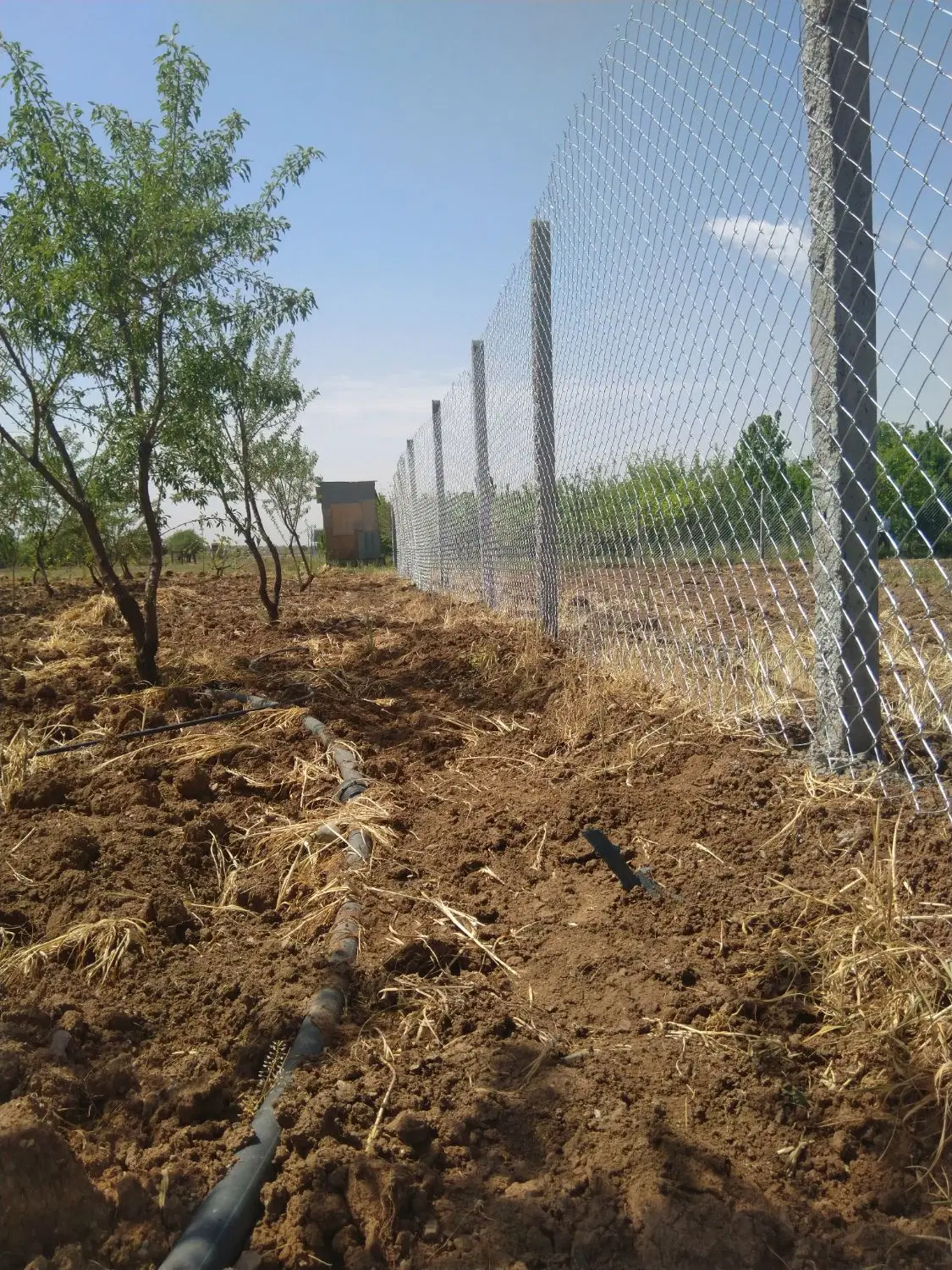 فروش باغ قزوین کورانه