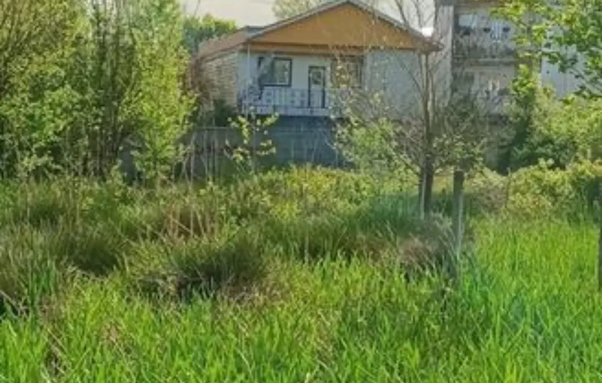 فروش زمین منطقه پیام نور خیابان گلها