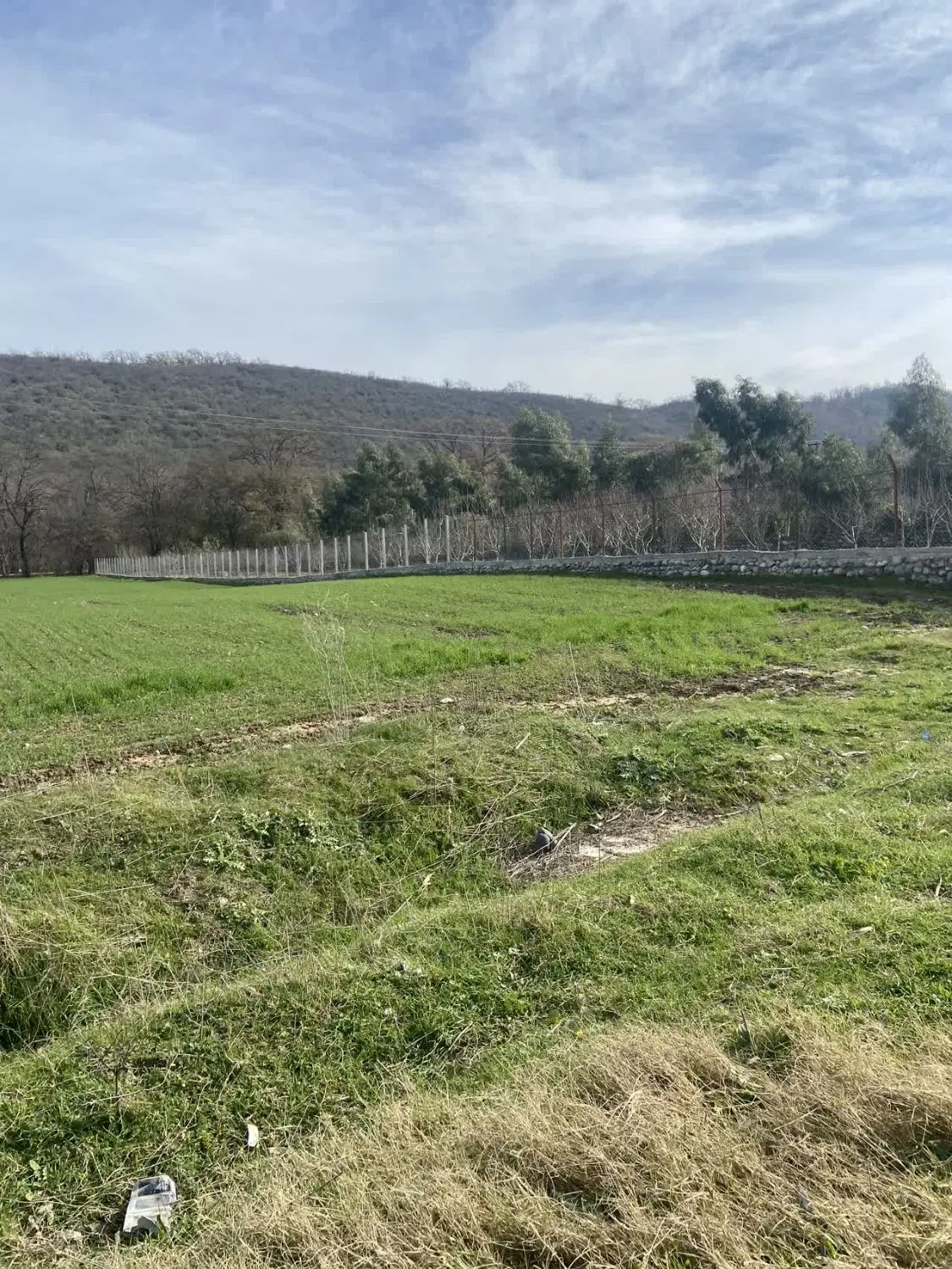 زمین باغی توسکستان سند تک برگ