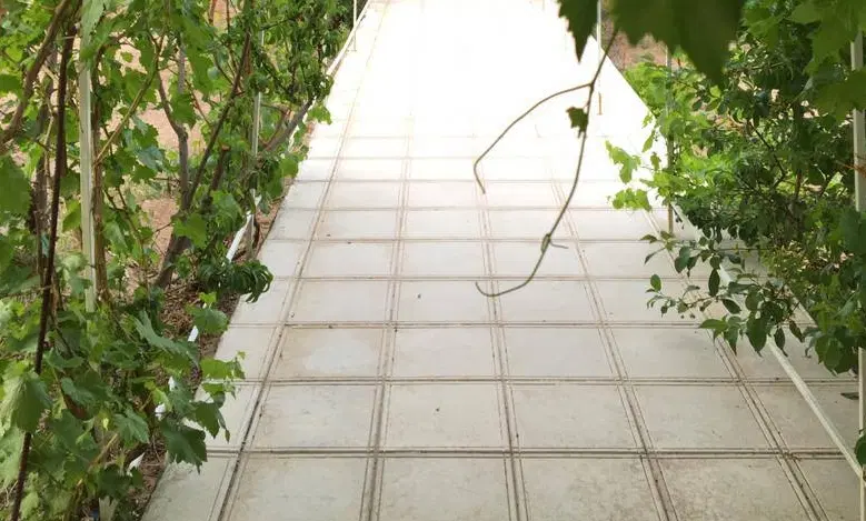 زمین تجاری مسکونی ۱۵۰ قصب