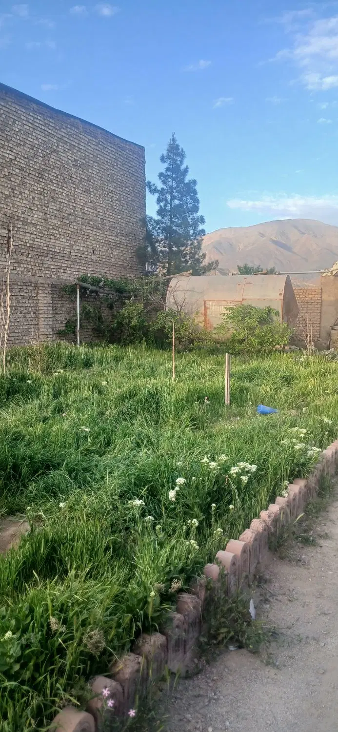 ۳۵۰ متر دور دیوار باغرود _ غار