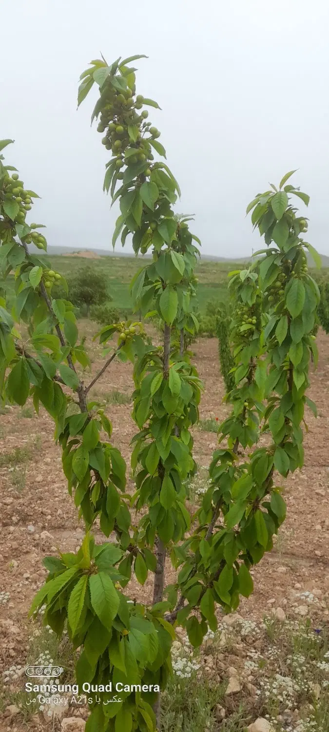 بهترین‌جا‌برای‌‌سرمایه‌گذاری