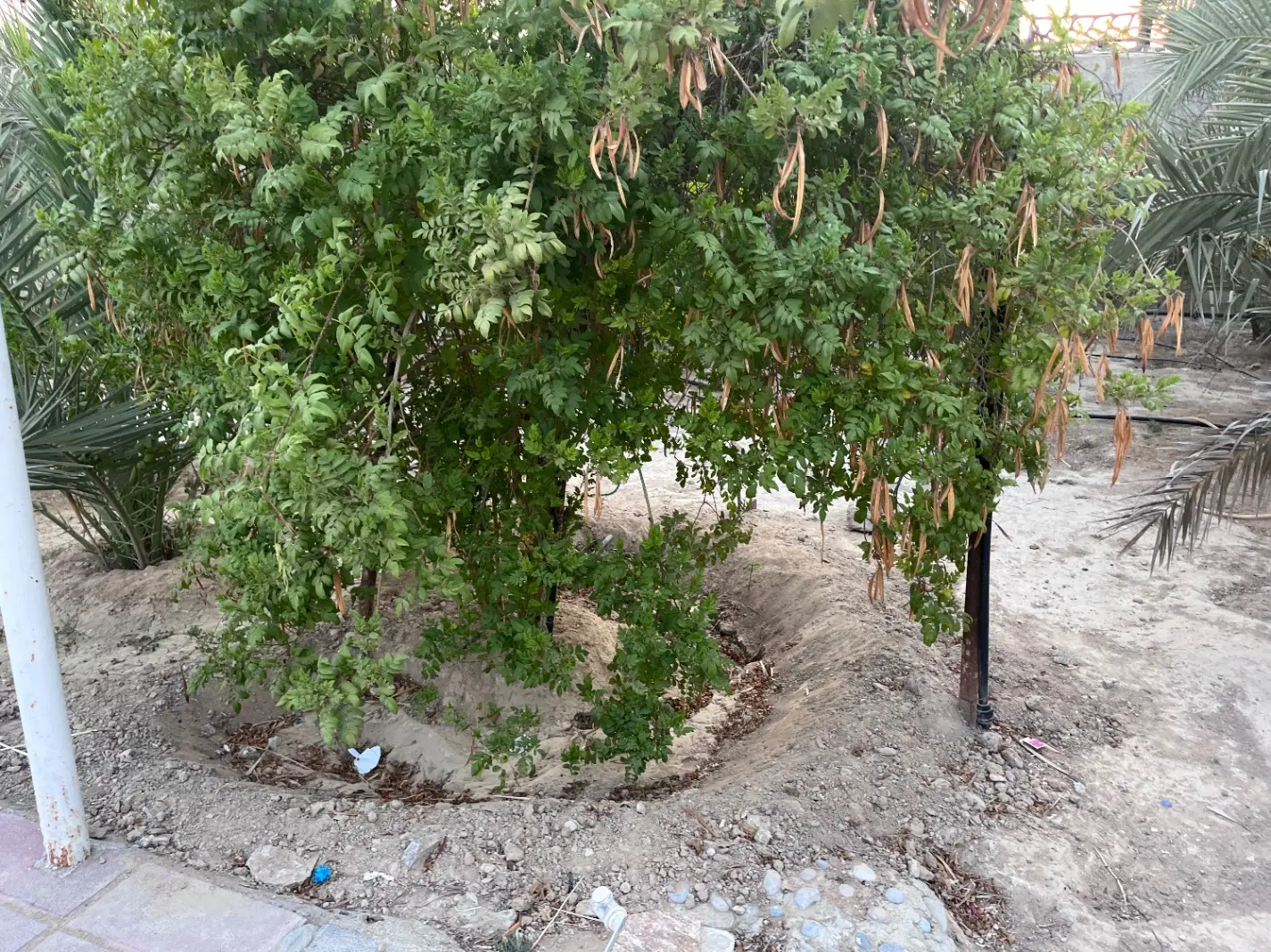 گورک۷۵۰متر ویلاباغی کنتور برق