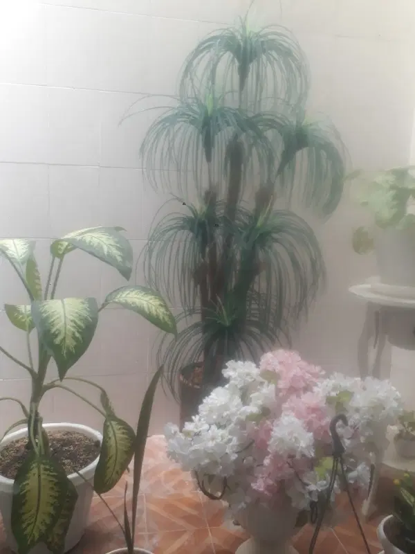 باغشهر ساوالان