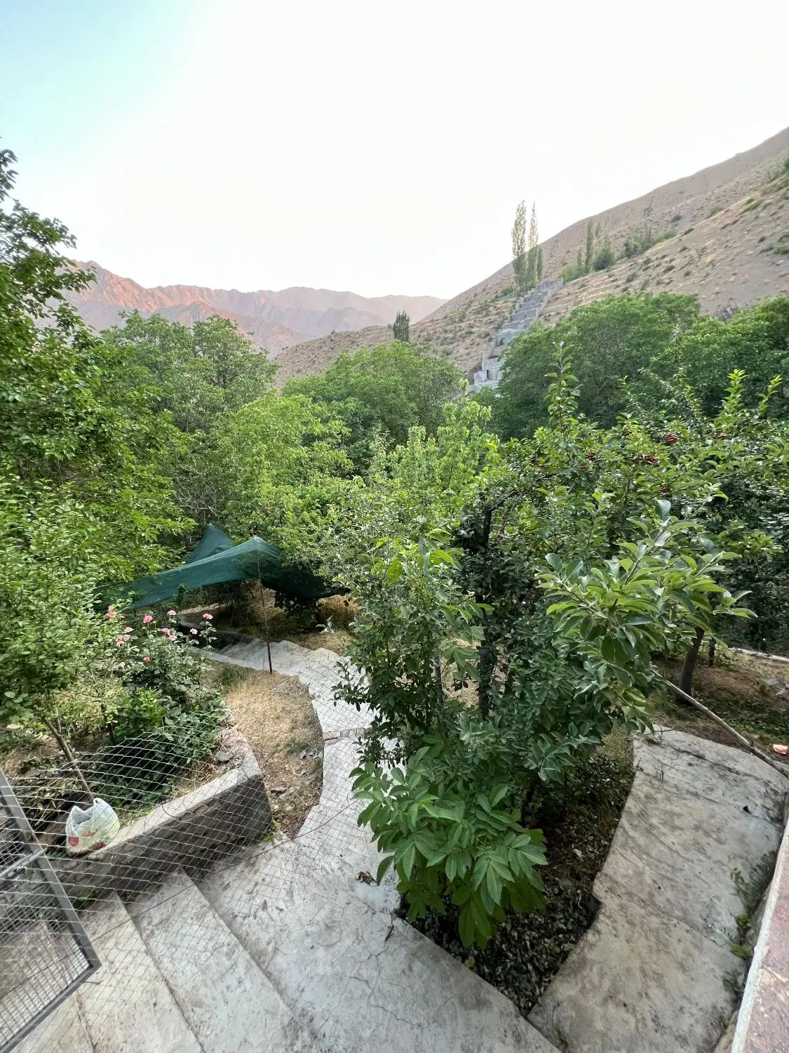 باغ جاده چالوس