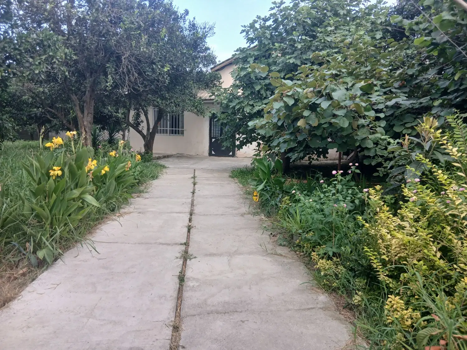 رهن واجاره خانه ویلایی سالیانه