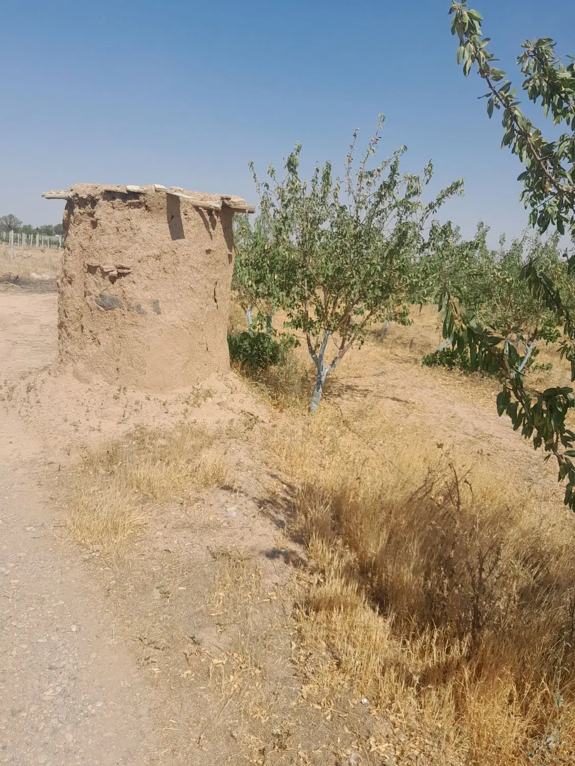 زمین ویلایی