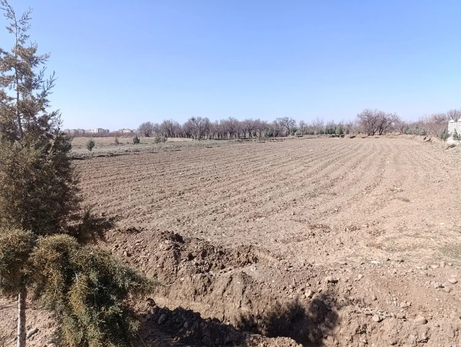 زمین خوش قواره