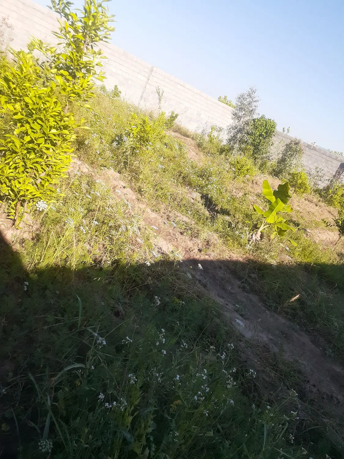 باغ ویلا ۶۰۰ متری