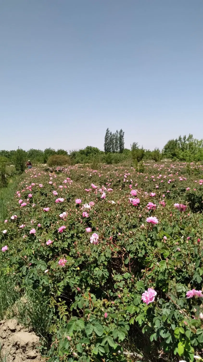 فروش خانه ویلایی نیمه سازلاله زار